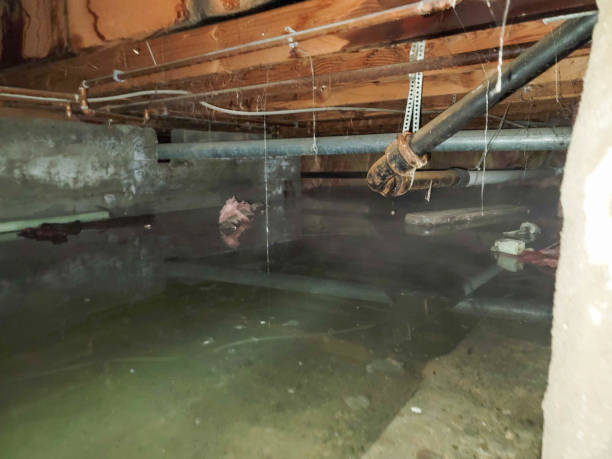  Dixon, MO Water damage restoration Pros