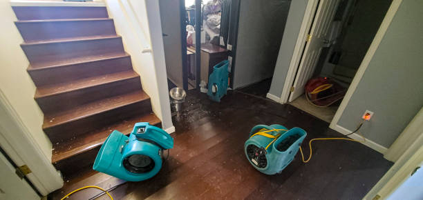 Best Water damage cleanup near me  in Dixon, MO