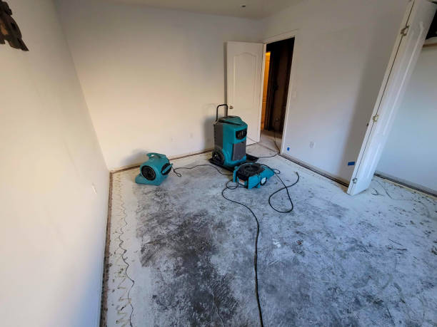 Best Local water damage restoration  in Dixon, MO
