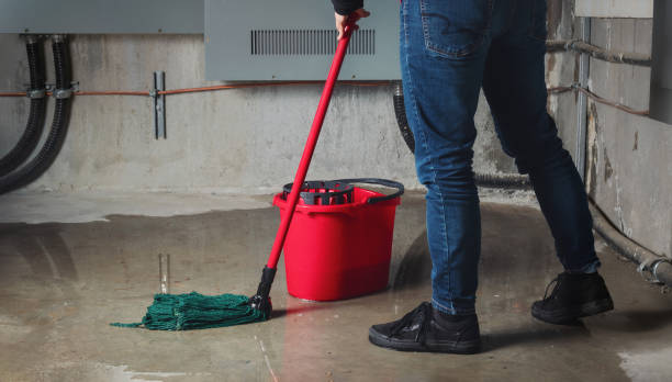 Best Ceiling water damage repair  in Dixon, MO