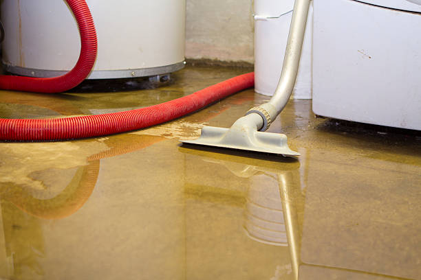 Best Water damage restoration mold remediation  in Dixon, MO