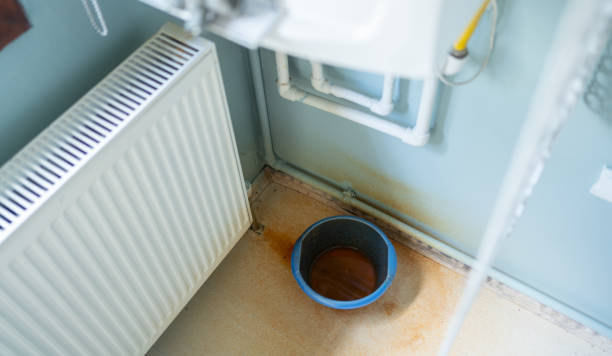 Best Flood restoration services  in Dixon, MO
