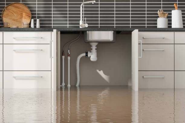 Best Basement water damage restoration  in Dixon, MO