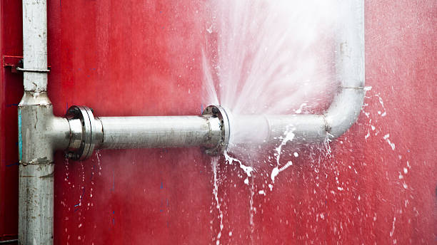 Best Flood restoration services  in Dixon, MO